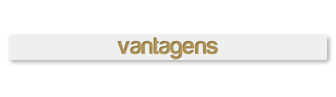 vantegens.png